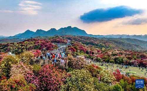 快出發，這些地方陸續美成仙境——游覽景區管理新探