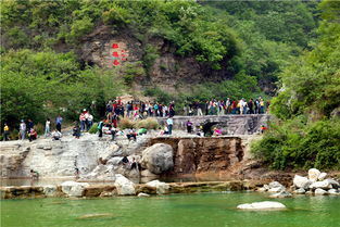 云臺山與巔峰智業攜手 共筑中國5A景區管理新標桿